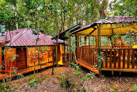 The Mouses House - Rainforest Retreat - Accommodation Brisbane 4