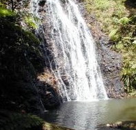 Binna Burra Mountain Lodge - Accommodation Brisbane