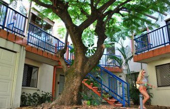 Surfers Paradise QLD Accommodation Brisbane