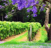 Bago Vineyards - Accommodation Brisbane