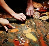 Daintree Eco Lodge And Spa - Accommodation Brisbane