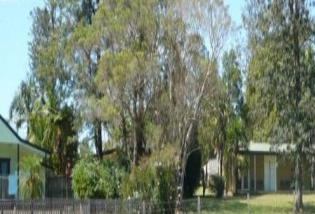 Nimbin Backpackers At Grannys Farm - Accommodation Brisbane 0