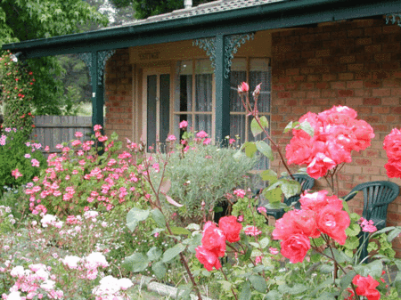 Balnarring Village Motor Inn - Accommodation Brisbane 5