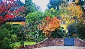 Moniques Bed And Breakfast - Accommodation Brisbane 3