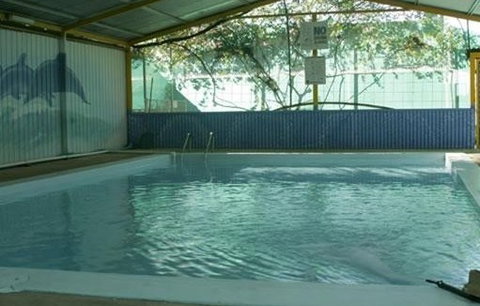 Wycliffe Well Holiday Park - Accommodation Brisbane 1