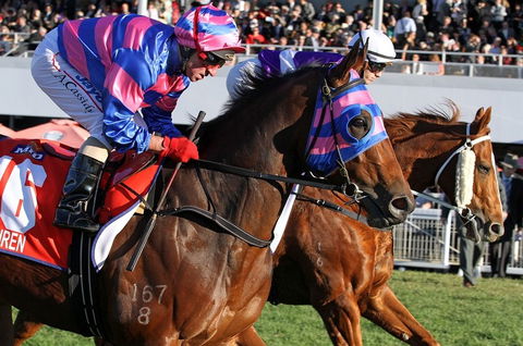 Quest Ascot - Accommodation Brisbane 4