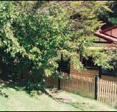 Apple Tree Cottage - Accommodation Brisbane