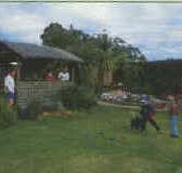 Tambo Lodge - Accommodation Brisbane