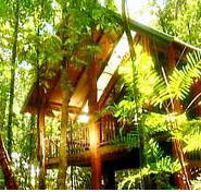 The Canopy Treehouses - Accommodation Brisbane