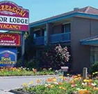 Strzelecki Motor Lodge - Accommodation Brisbane