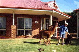  Accommodation Brisbane