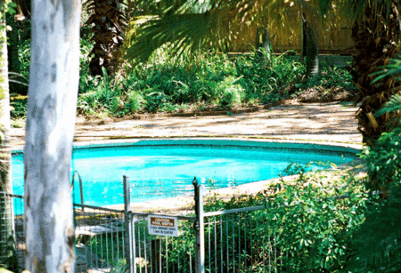 Forest Lodge Apartments - Accommodation Brisbane