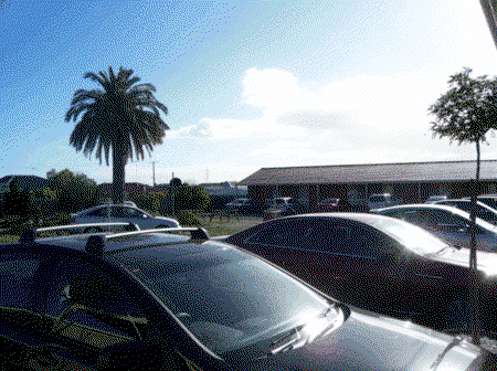 Golden Palms Motel - Accommodation Brisbane 3