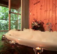 Tree Houses Of Montville - Accommodation Brisbane