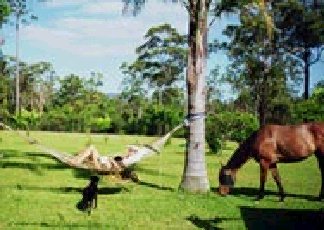  Accommodation Brisbane