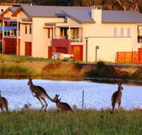Grand Mercure The Vintage Hunter Valley - Accommodation Brisbane
