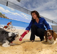 Hanrob Pet Hotels - Accommodation Brisbane
