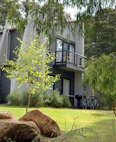 Margarets Forest - Accommodation Brisbane 0