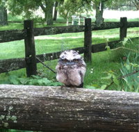 Milton Park - Accommodation Brisbane