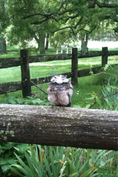 Milton Park - Accommodation Brisbane 0