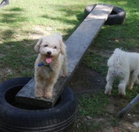 Beenleigh Pet Motel - Accommodation Brisbane