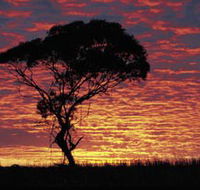 Kimba Caravan Park amp Motel - Accommodation Brisbane