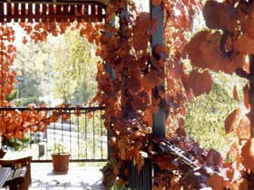 The Vines Motel & Cottages - Accommodation Brisbane 0