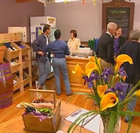 Settlers Ridge Organic Wines - Accommodation Brisbane