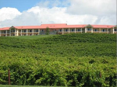 Turners Vineyard - Accommodation Brisbane 4