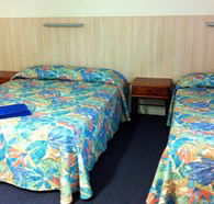 Mango Tree Motel - Accommodation Brisbane