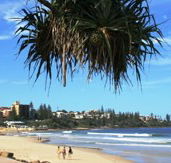 Mariners Caloundra - Accommodation Brisbane