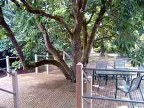 Magnolia House Marysville - Accommodation Brisbane 0
