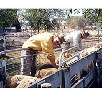 Old Nubba Schoolhouse - Accommodation Brisbane