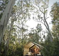 Paperbark Camp - Accommodation Brisbane