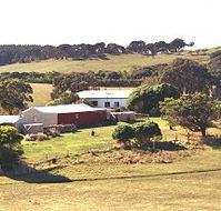 Sun Valley Eco Farm - Accommodation Brisbane