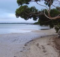 Stanley Lakeside Spa Cabins - Accommodation Brisbane