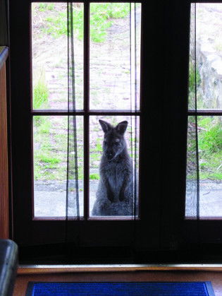 VARUNA - Accommodation Brisbane 4