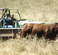 Bullo River Station - Accommodation Brisbane