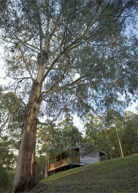 Ada VIC Accommodation Brisbane
