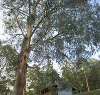 Outpost Restaurant - Accommodation Brisbane