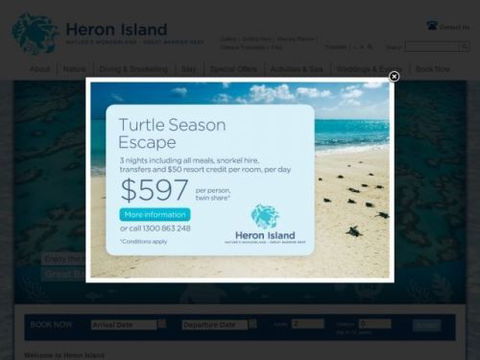 Heron Island Resort - Accommodation Brisbane 5