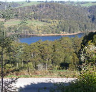 Charlyn Lodge - Accommodation Brisbane