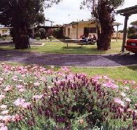Brigadoon Holiday Units - Accommodation Brisbane