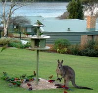 Gipsy Point Lakeside - Accommodation Brisbane