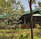 Arnhemland Barramundi Nature Lodge - Accommodation Brisbane