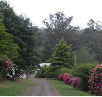 Mountain Rivers Lodge - Accommodation Brisbane