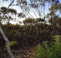 Lions Dryandra Woodlands Village - Accommodation Brisbane