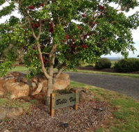 Belle Vue Studio - Accommodation Brisbane