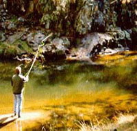 Markdale Homestead - Accommodation Brisbane