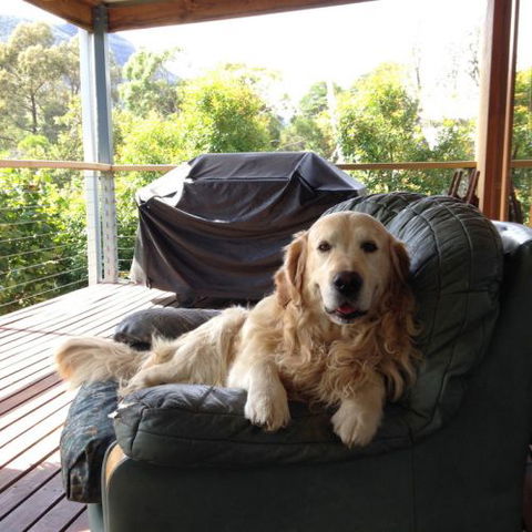 Ant's Halls Gap Holiday House - Accommodation Brisbane 7